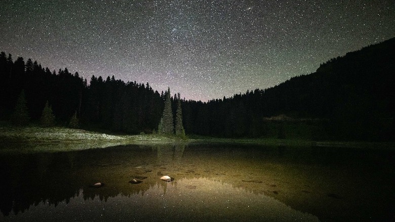 star filled night skies over the Pacific Northwest.