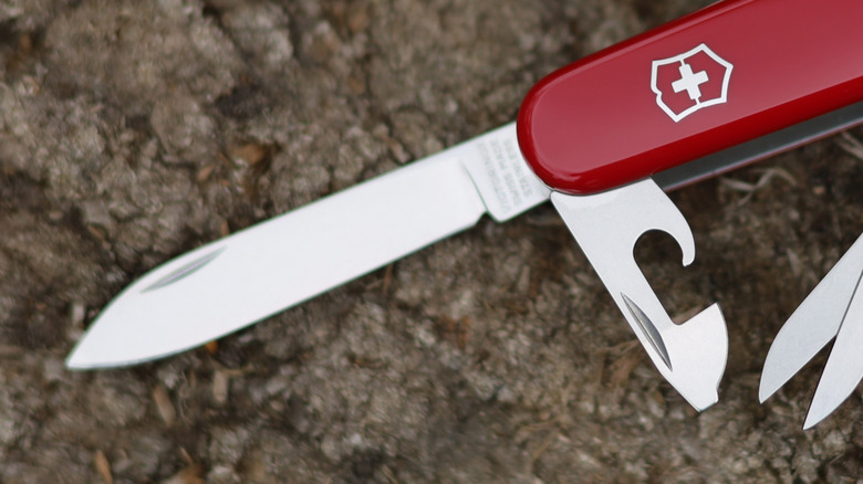 Closeup of Swiss Army Knife blade and can opener attachment