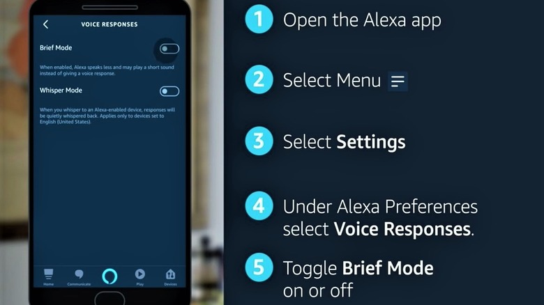 Amazon Alexa Brief Mode demonstration