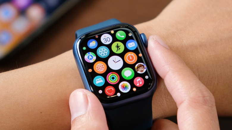 Apple Watch icons display