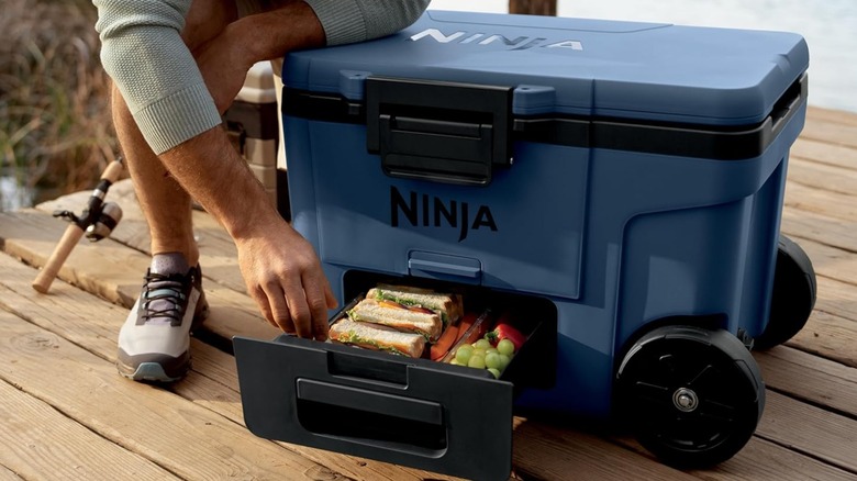 A person retrieves food from a Ninja FrostVault Dry Zone drawer