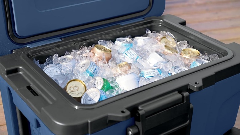 Ninja FrostVault cooler full of ice and drinks