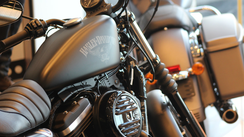 Iron 883 logo close up