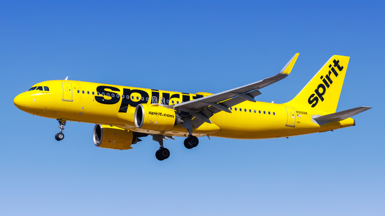 A Spirit Airlines plane in the air