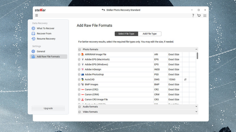 Stellar Photo Recovery app file format list