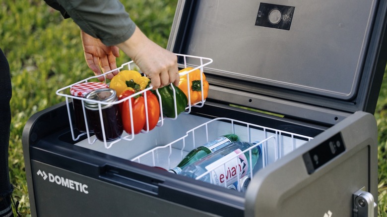 Dometic CFX5 cooler opened and in use