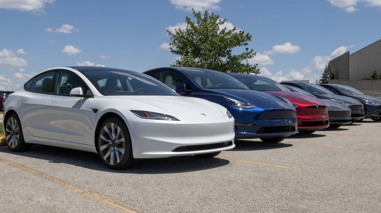Tesla models lined up in a parking lot.
