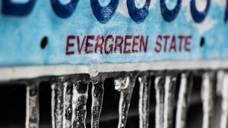 A frozen Washington State license plate