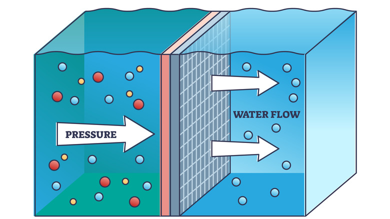A diagram depicting how osmosis works.