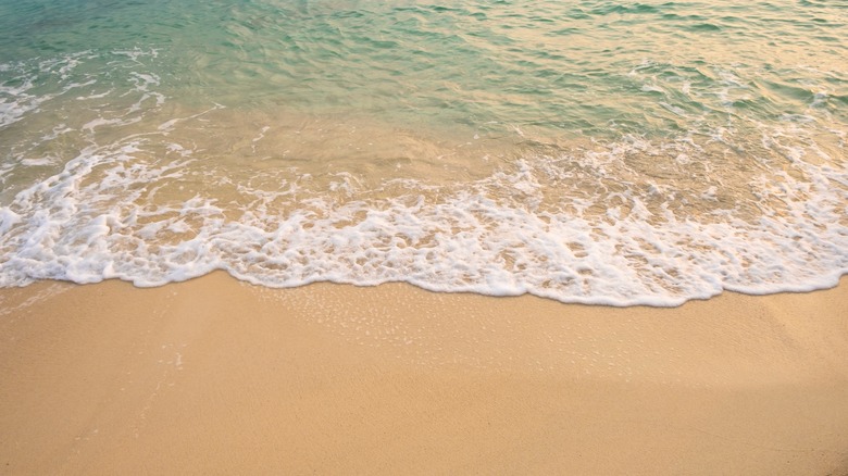 A sandy beach with seawater lapping the shoreline