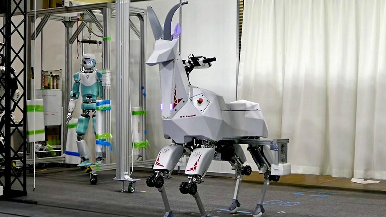 Kawasaki Bex robot