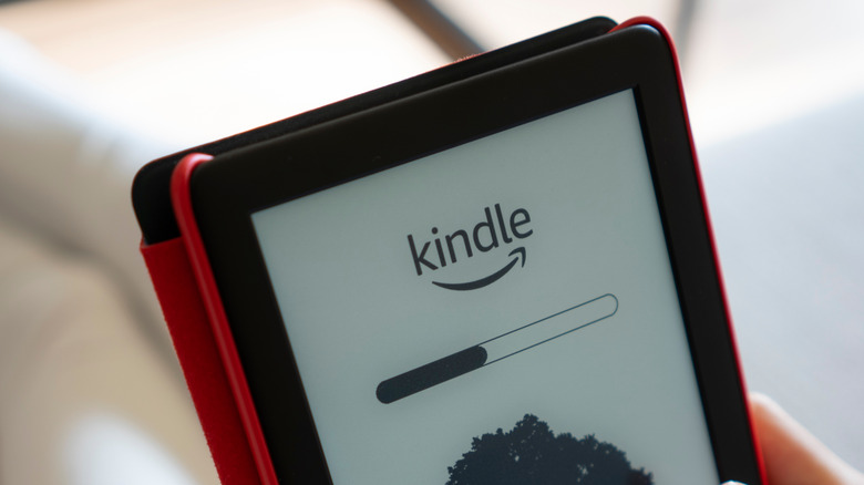 Kindle ereader hands