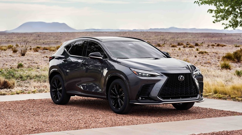 Black 2025 Lexus NX 350 F Sport parked near a desert