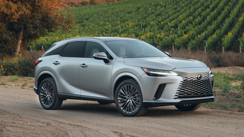 A silver Lexus RX 350 parked in front of a vinyard on a dirt road.