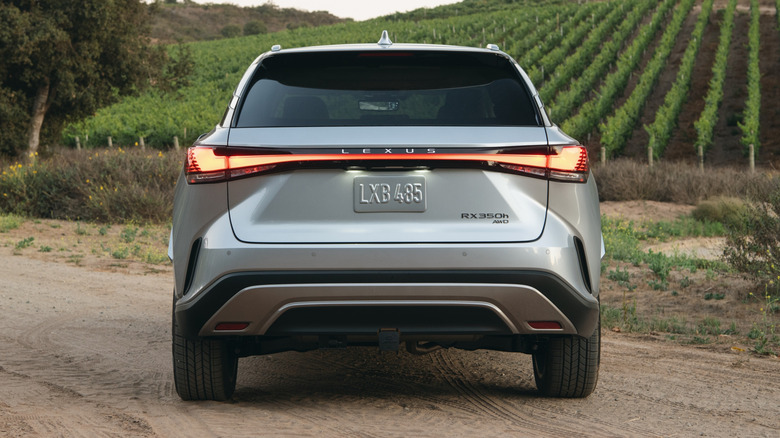 A rear-end view of a silver Lexus RX 350 parked in front of a vineyard on a dirt road.
