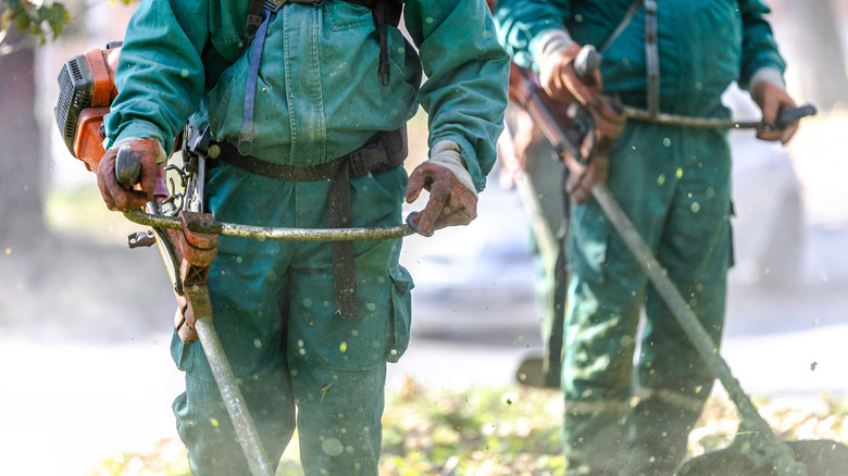 Landscapers cutting grass