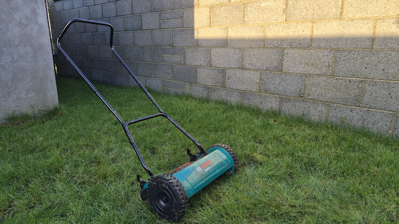Bosch reel mower in my backyard
