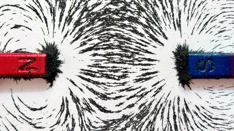 North and south magnet poles with iron filings showing their magnetic fields