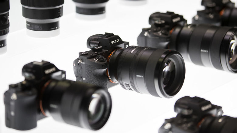 Sony cameras on display