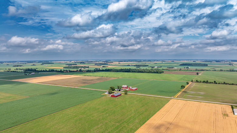 Green, flat farmland with red buildings visible and fields of yellow crops, set against a cloudy blue sky