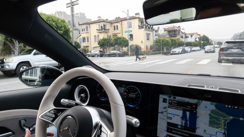 MB.Drive Assist Pro notices dogs in the crosswalk