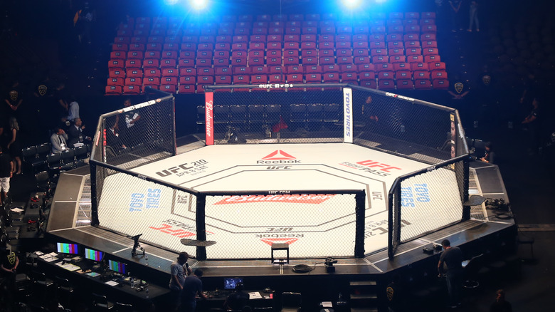 UFC Octagon fight stadium