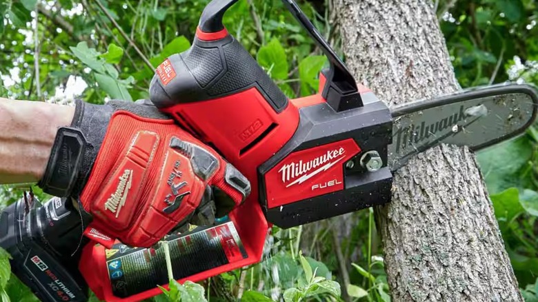 Using a Milwaukee M12 FUEL pruning saw on a branch