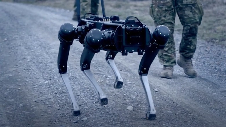 Brain machine interface controlling robot