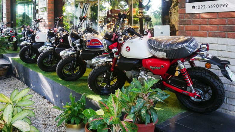 A row of mini bikes on display outside a shop