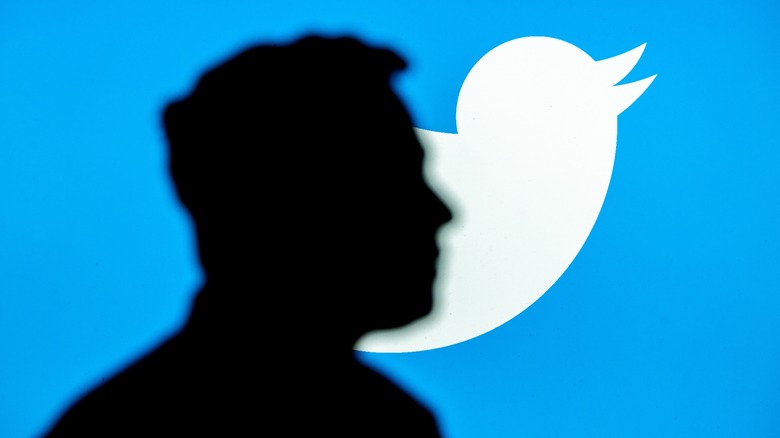 Musk silhouette Twitter bird