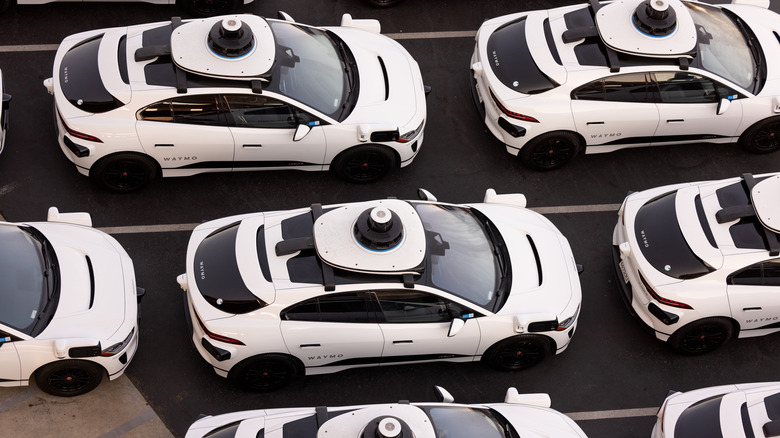 Group of Waymo robotaxis parked in lot