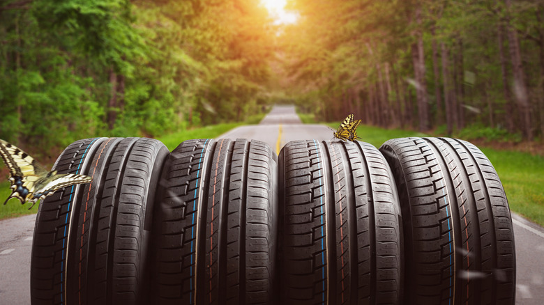 Four tires on a forested road, in the center with the sun in the background