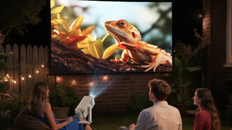 People watching a nature show on projector with Google TV