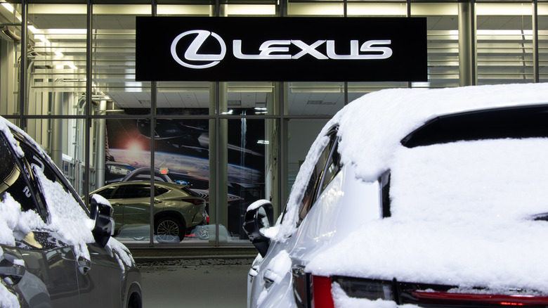 Snow-covered cars in front of a Lexus dealership