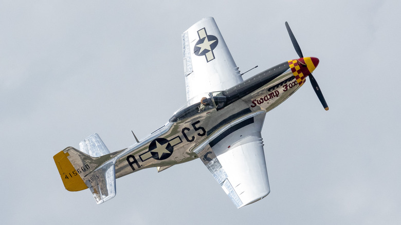 P-51 Mustang Swamp Fox performing at air show