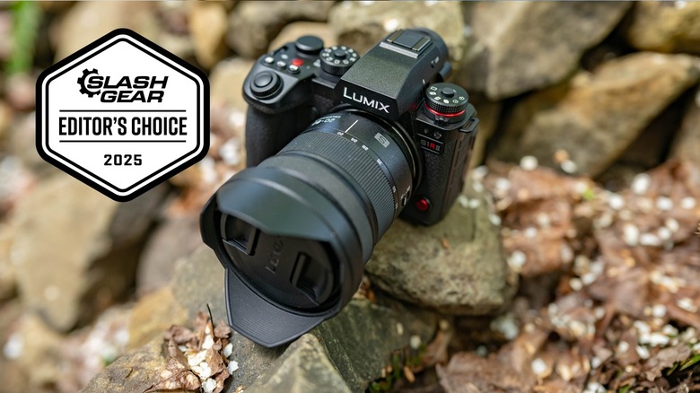The Panasonic Lumix S1RII sitting on a rock surrounded by fallen flower petals.