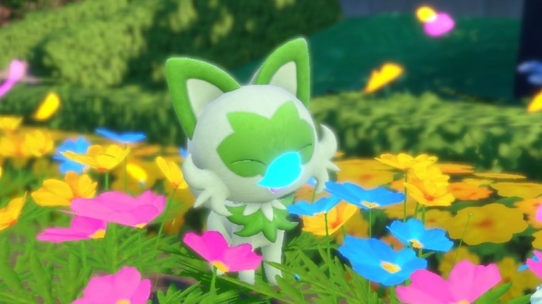Pokemon Violet Sprigatito