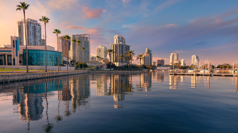 Picture of the coastline in Florida dotted with palm trees