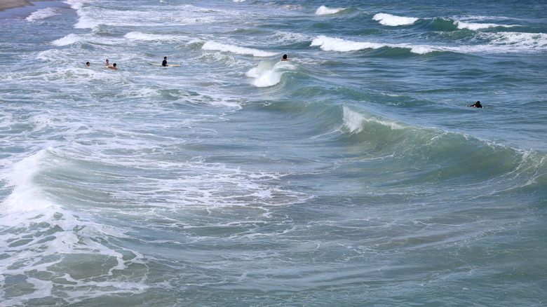 Swimmers in the ocean.