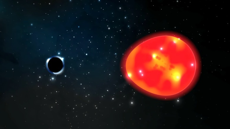 Unicorn star system illustration