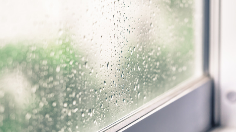 Raindrops on a house window.