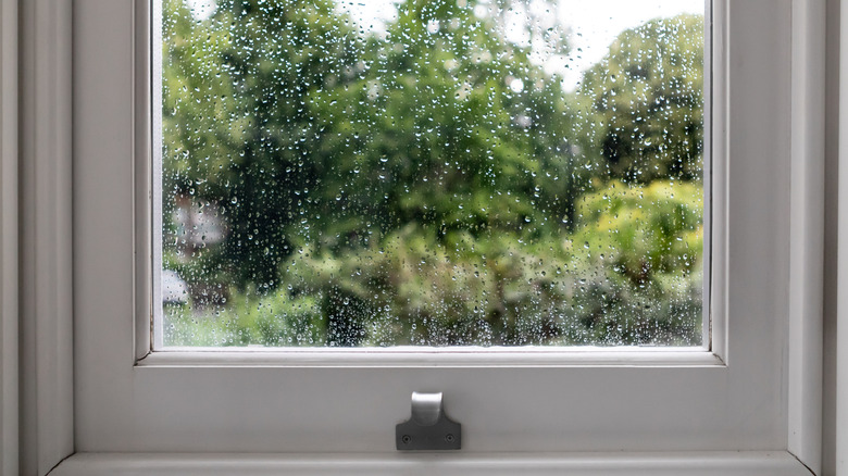 A window covered in water droplets.