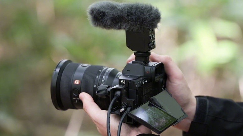 Person using the Sony Alpha 7R V