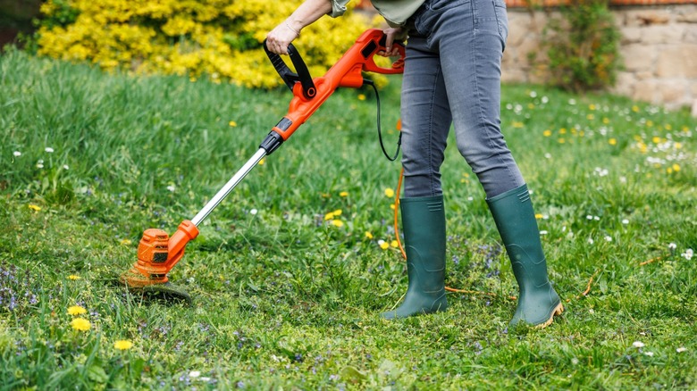 a person using a string trimmer to mow weedy overgrowth