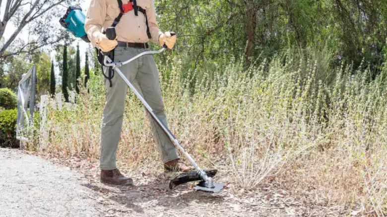 a person using a brush cutter with bladed cutting disk to clear brush