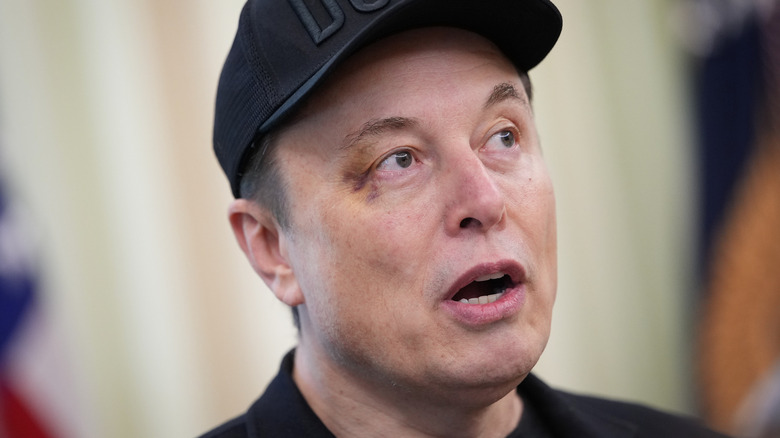 Close-up of Tesla CEO Elon Musk speaking at the White House