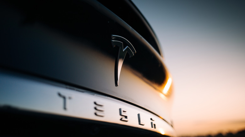 Tesla truck emblem