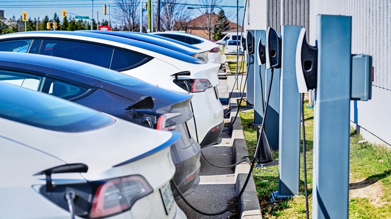 Tesla chargers in the parking lot of a building