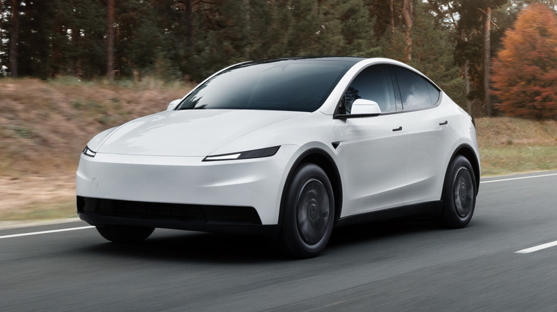 The Tesla Standard Model Y