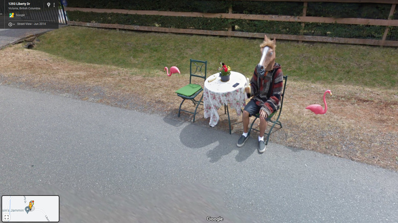 Vancouver Horse Boy